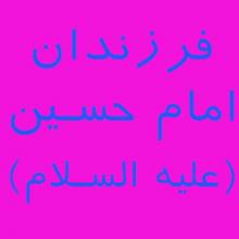 اگر جمله «لَوْ وُلِدَ لِي‏ مِائَةٌ لَأَحْبَبْتُ أَنْ لَا أُسَمِّيَ أَحَداً مِنْهُمْ إِلَّا عَلِيّاً» متعلق به امام حسین (علیه السلام) است، پس چه طور فرزنداني به نام «عبدالله» و «جعفر» داشت؟