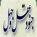 چرا در حالی که جنود جهل و عقل برابر و مساوی هستند، اکثر انسانها از جنود جهل پیروی میکنند؟