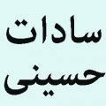 جد سادات حسینی به کدام معصوم میرسد؟
