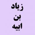 چرا حضرت علی (علیه السلام) با وجود علم غیب زیاد به ابیه که پدرش معلوم نبود را حاکم فارس کرد؟ مگر مردم پشت سر فرماندار نماز نمیخواندند؟