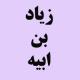 چرا حضرت علی (علیه السلام) با وجود علم غیب زیاد به ابیه که پدرش معلوم نبود را حاکم فارس کرد؟ مگر مردم پشت سر فرماندار نماز نمیخواندند؟